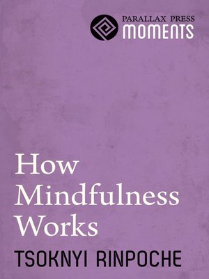 cover image of How Mindfulness Works